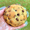 Chocolate Chips